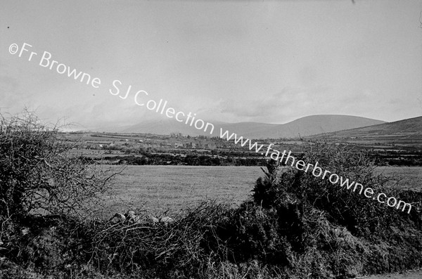 MOUNT LEINSTER FROM BALLYMURPHY